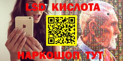 прущие грибы Малоярославец