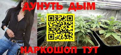 PSILOCYBIN Малгобек
