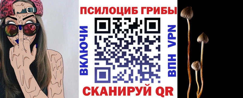 Галлюциногенные грибы Psilocybe  hydra зеркало  Сибай 