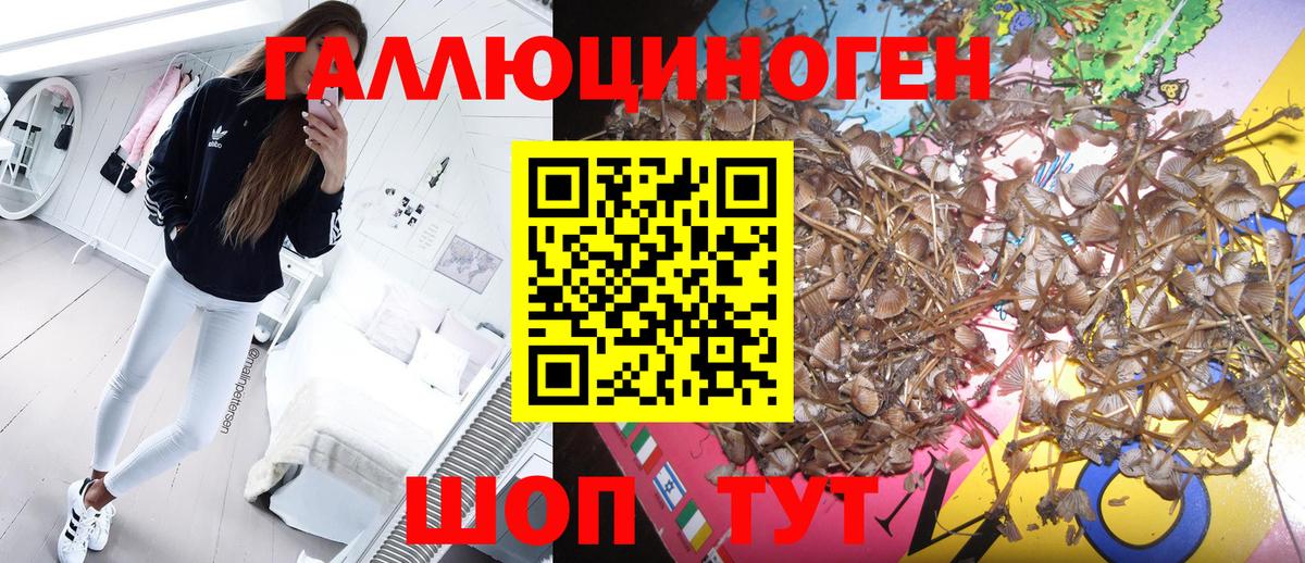 Галлюциногенные грибы мухоморы  Вход с VPN  Галлюциногенные грибы GOLDEN TEACHER  Сибай 